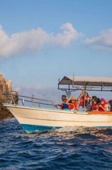 Private islas marietas tour for 4 people or more