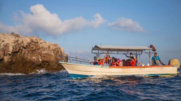 Private islas marietas tour for 4 people or more